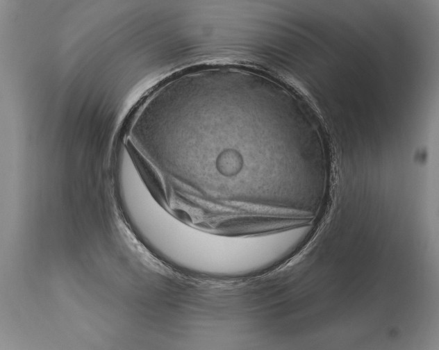 X0000113631122200910021845