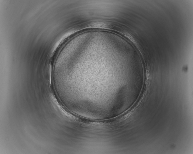 X0000113631123200910021845