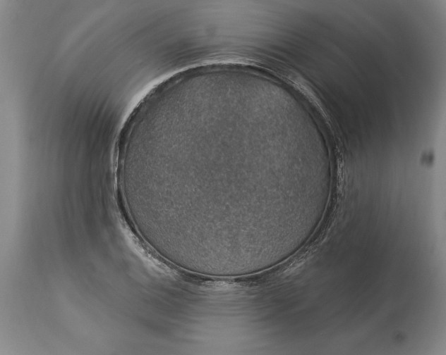 X0000113631124200910021845