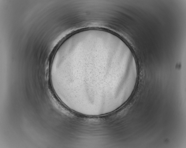 X0000113631126200910021845