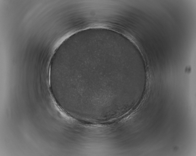 X0000113631127200910021845