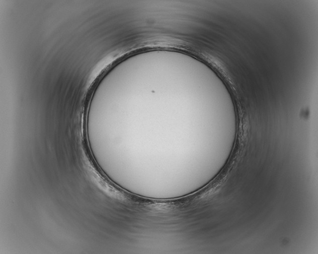 X0000113631130200910021845