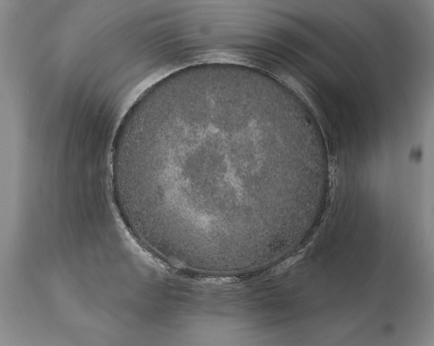 X0000113631133200910021845