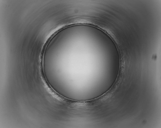 X0000113631134200910021845