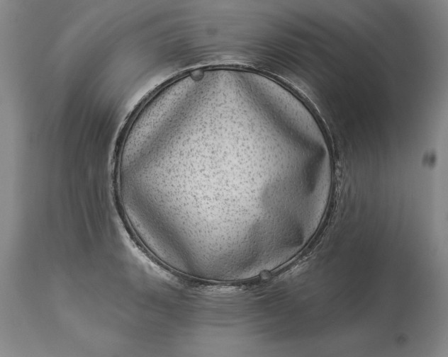 X0000113631135200910021845