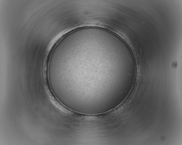 X0000113631136200910021846