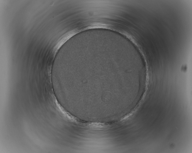 X0000113631137200910021846