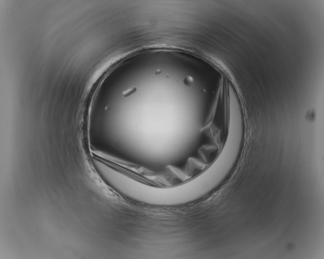 X0000113631138200910021846