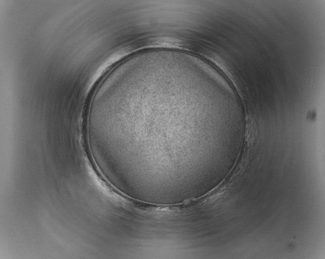 X0000113631139200910021846