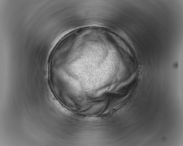 X0000113631140200910021846