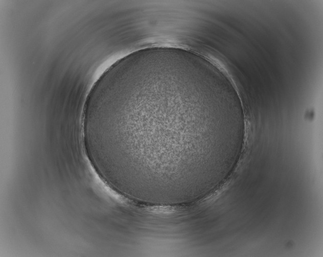 X0000113631141200910021846