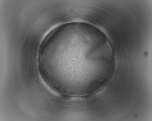 X0000113631142200910021846