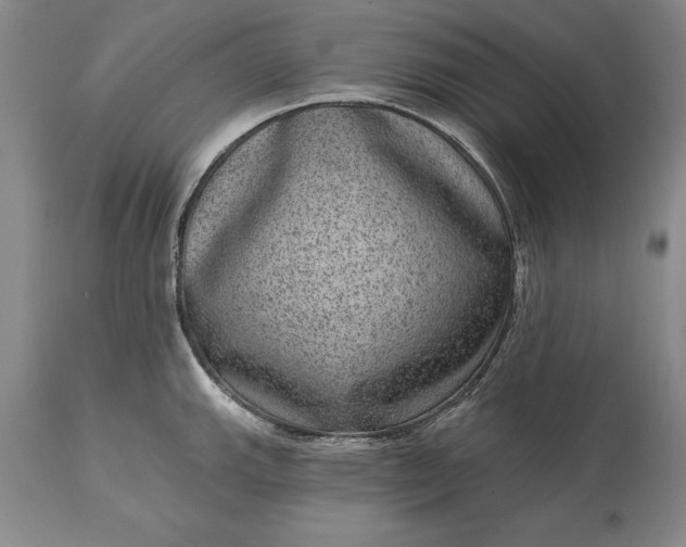 X0000113631143200910021846