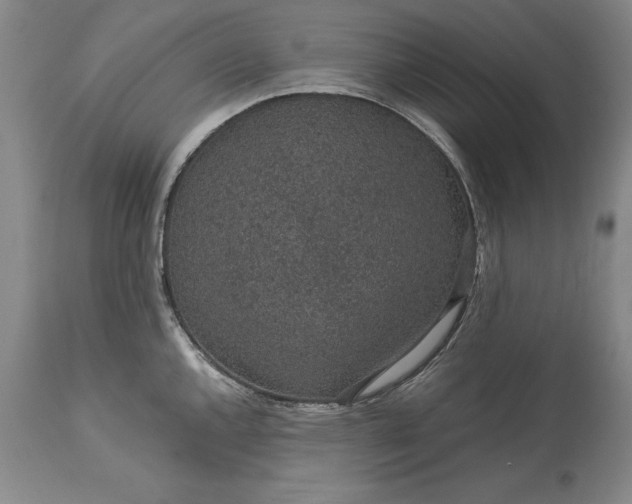 X0000113631144200910021846