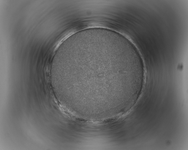 X0000113631145200910021846