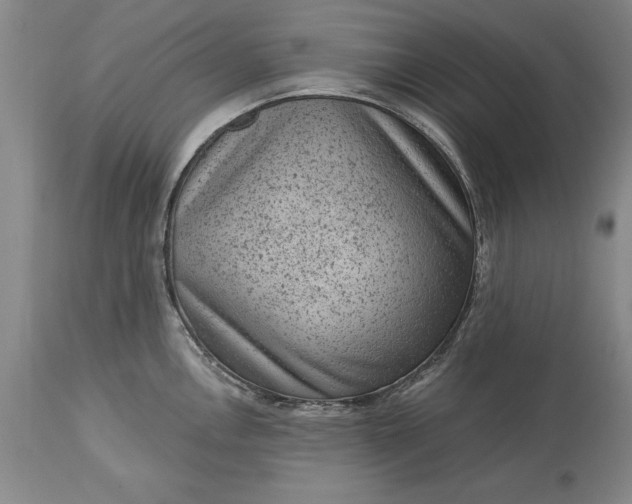 X0000113631146200910021846