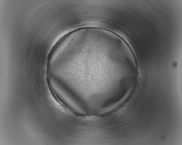 X0000113631147200910021846