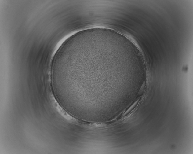 X0000113631148200910021846
