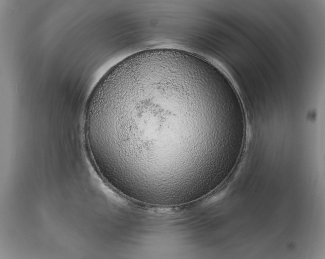 X0000113631149200910021846