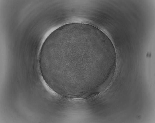 X0000113631152200910021846