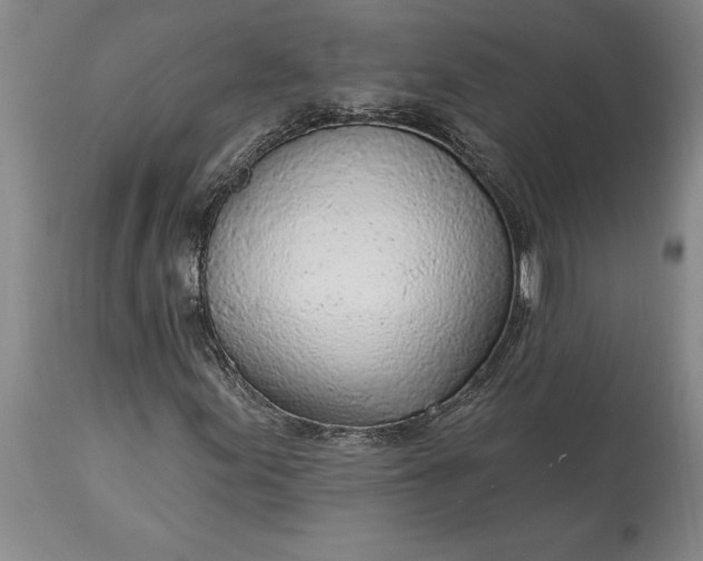 X0000113631155200910021845