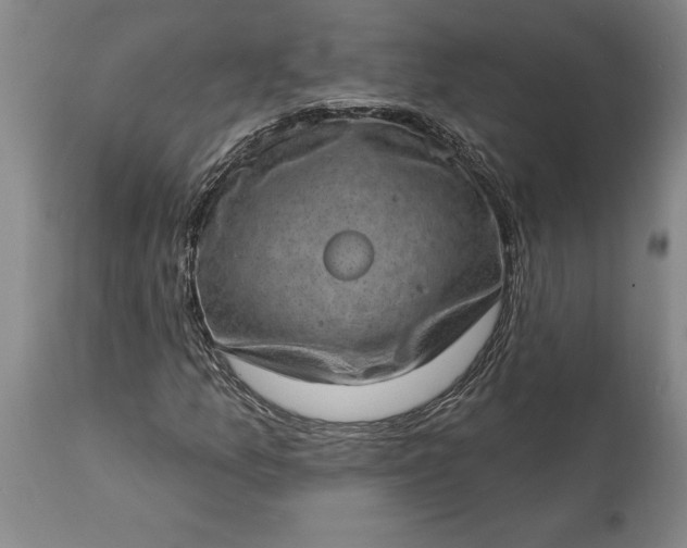 X0000113631157200910021845