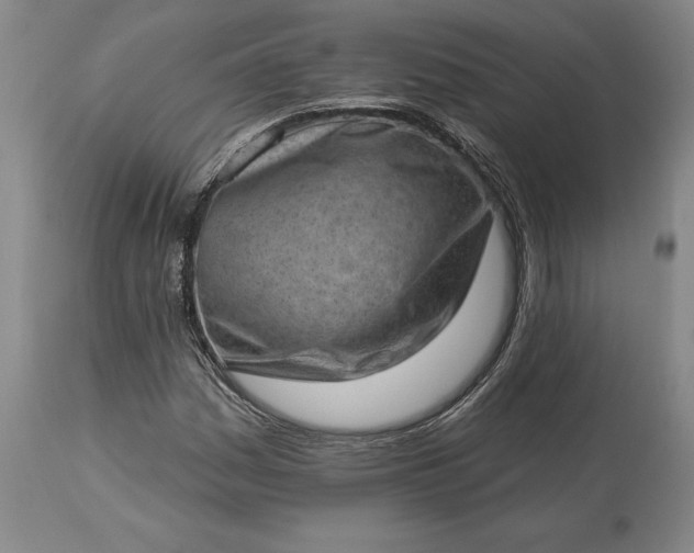 X0000113631161200910021845