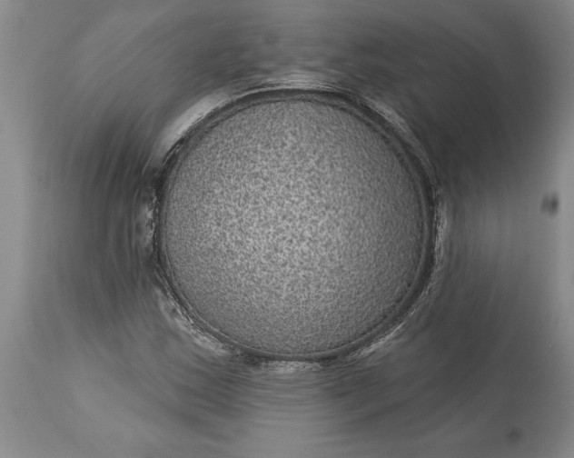 X0000113631163200910021845