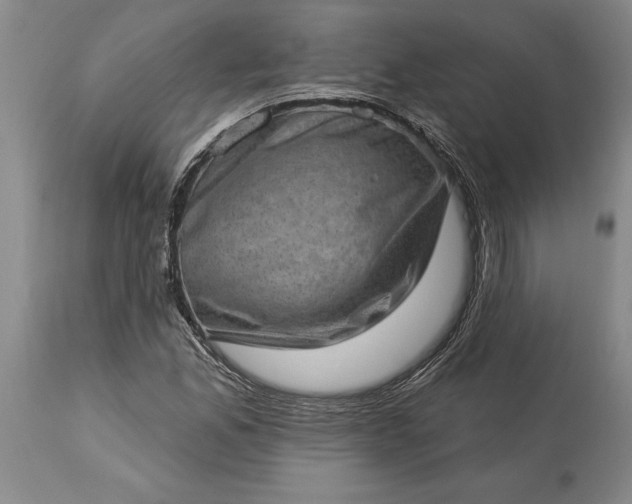 X0000113631165200910021845