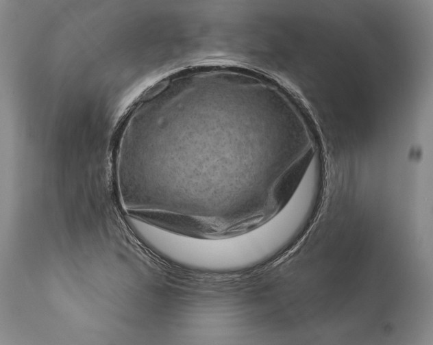 X0000113631167200910021845
