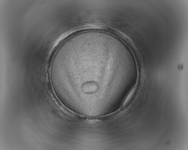 X0000113631168200910021845