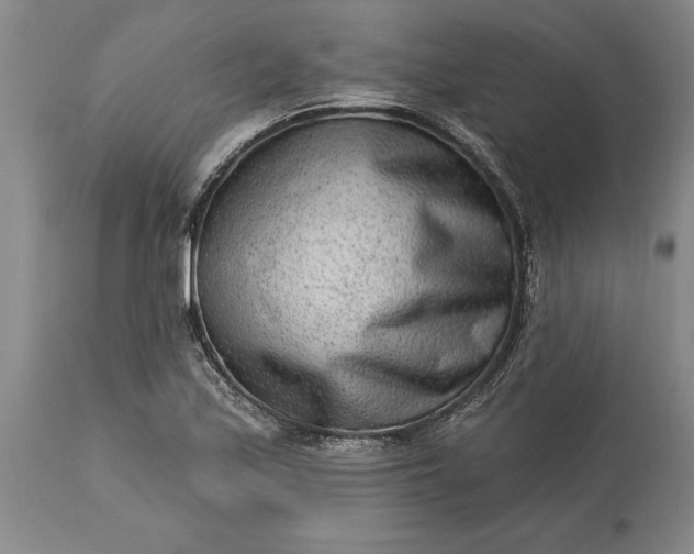 X0000113631171200910021845