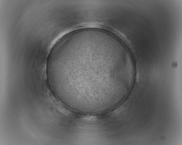 X0000113631174200910021845