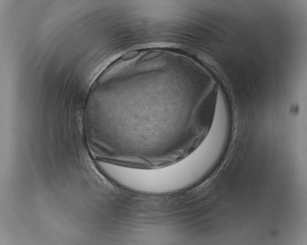 X0000113631177200910021845