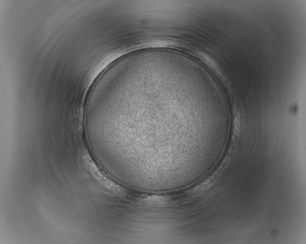 X0000113631178200910021845