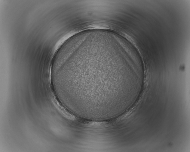 X0000113631179200910021845