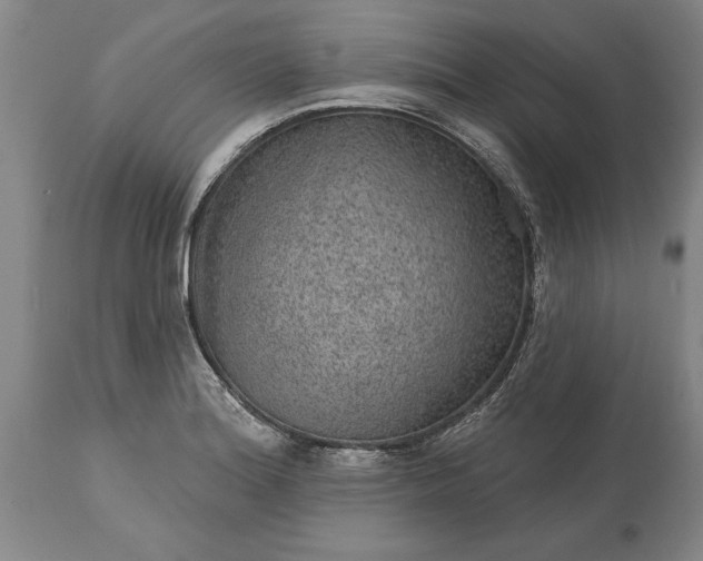 X0000113631180200910021845