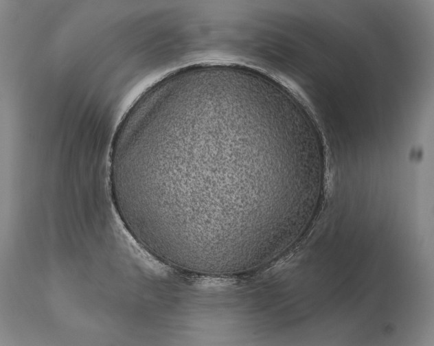 X0000113631183200910021845