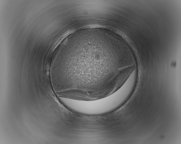 X0000113631185200910021845