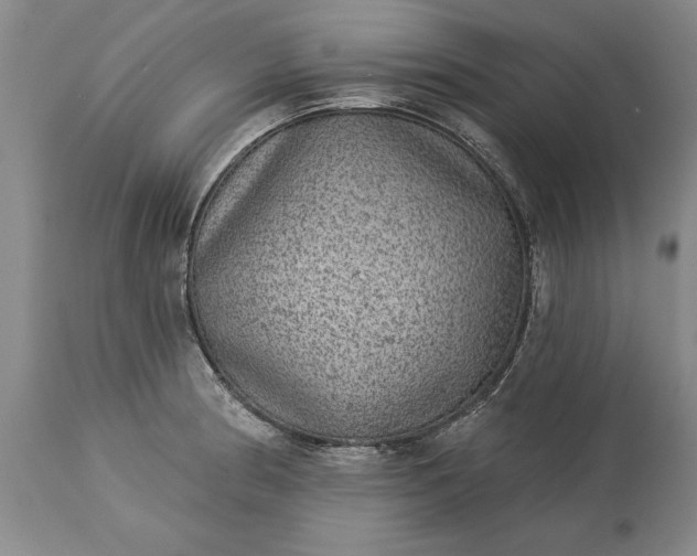 X0000113631186200910021845