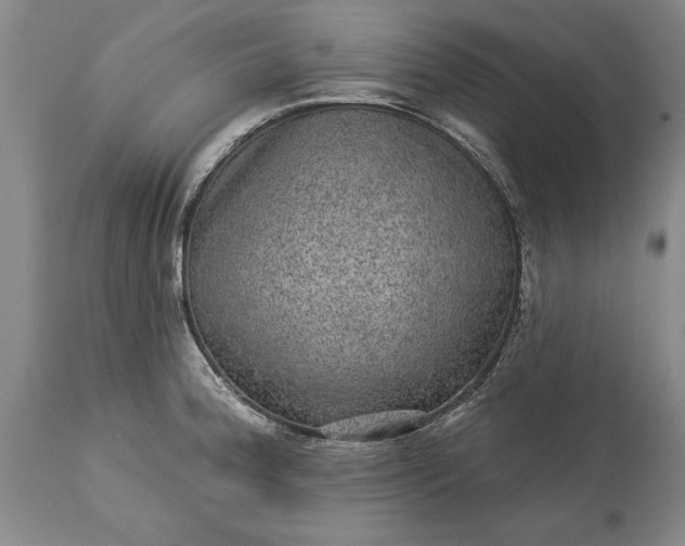 X0000113631188200910021845