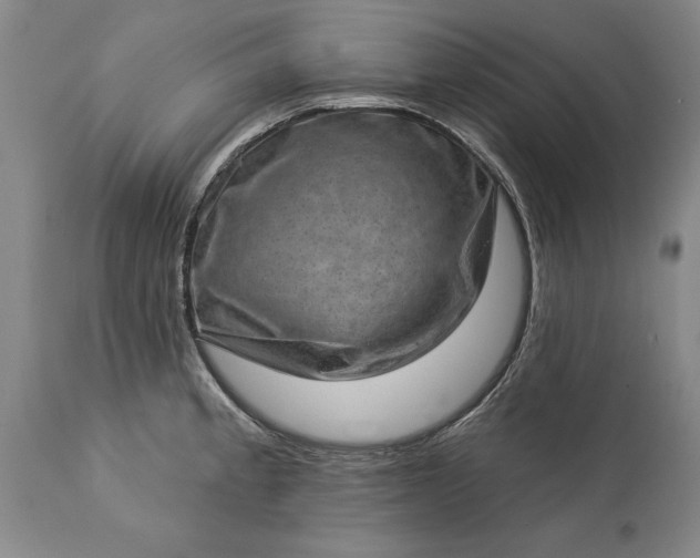 X0000113631189200910021845