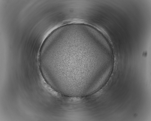 X0000113631190200910021845