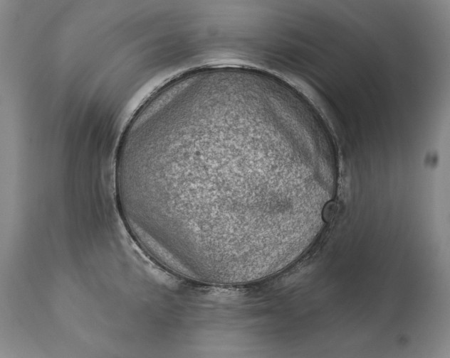 X0000113631191200910021845