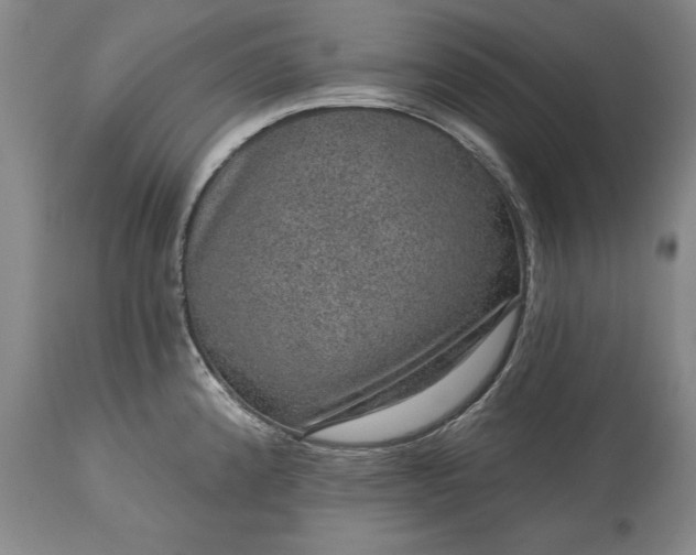 X0000113631192200910021845