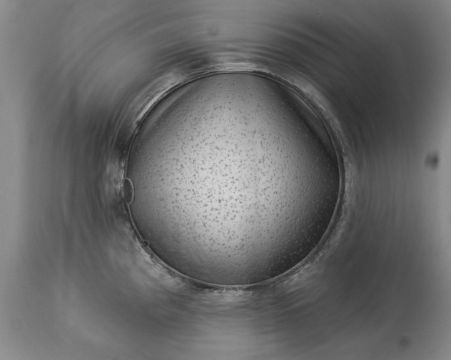X0000113631193200910021845