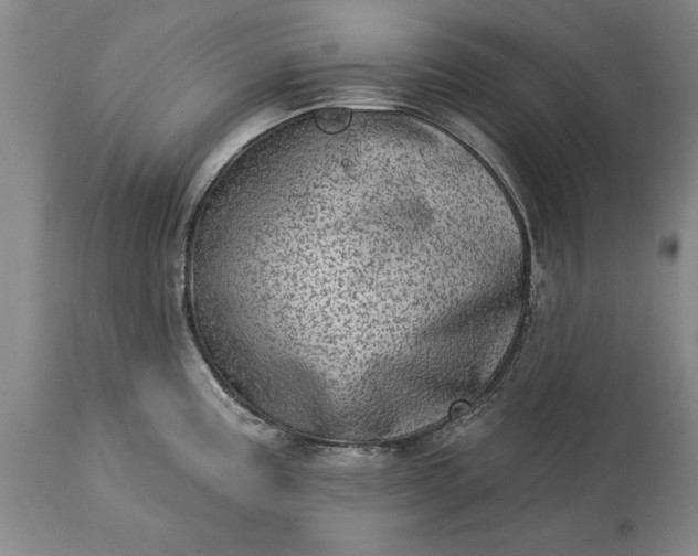 X0000113631195200910021845