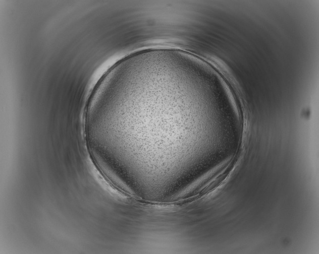 X0000113631196200910021844