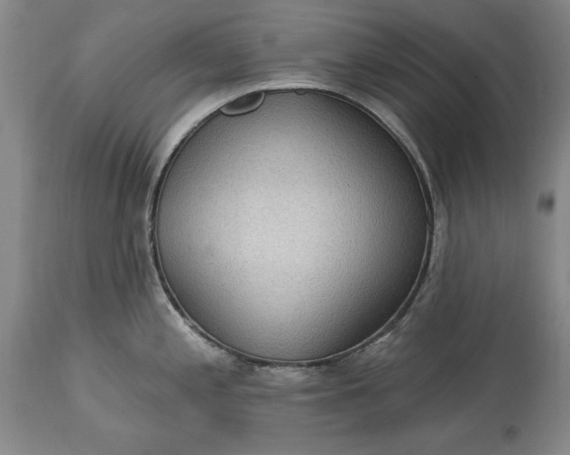 X0000113631197200910021844