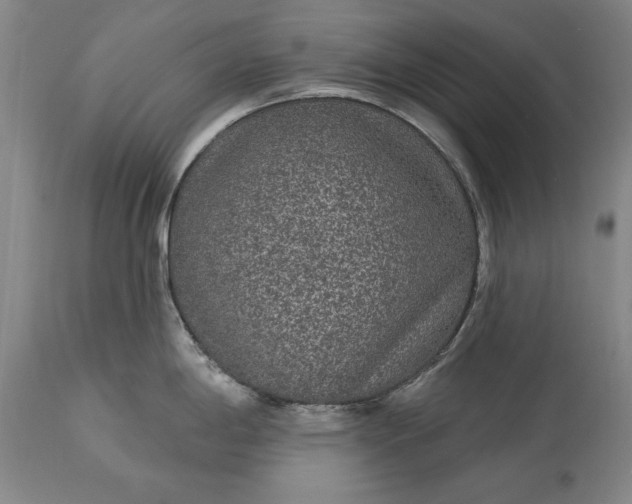 X0000113631198200910021844
